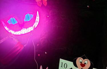 La Belle et le Nooki - Foto 53