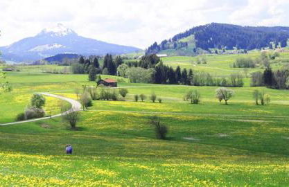 Haus Bergblick - Foto 17