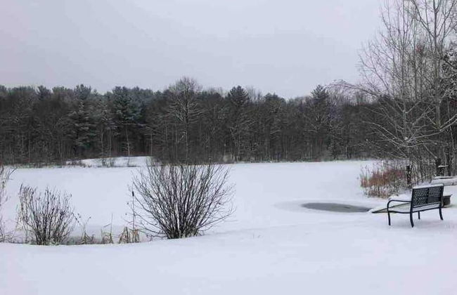 Modern Farm Home 2hr NYC BOS Peaceful Wifi - Foto 42