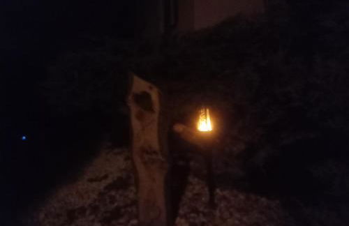 Pension "Am Zuckerberg" - Photo 6