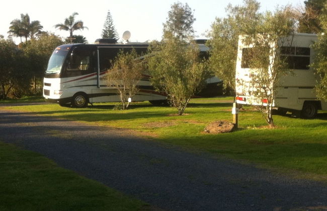 Bay of Islands Holiday Apartments - Foto 12