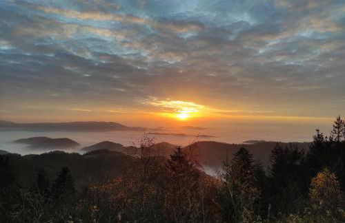 Ferienwohnung Tannenballett im Schwarzwald - Foto 57
