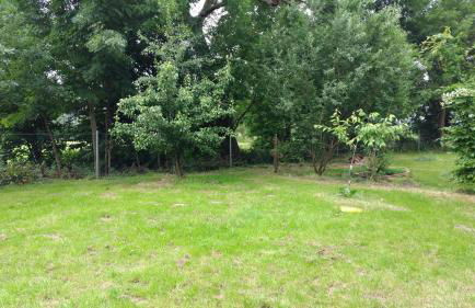 Fewo Bendig - Foto 30