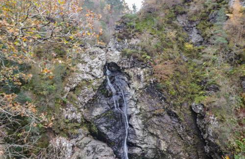 Wendy's Place - Foto 19