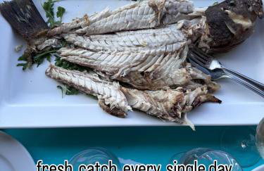 NEPTUNE OASIS Villa - Foto 56