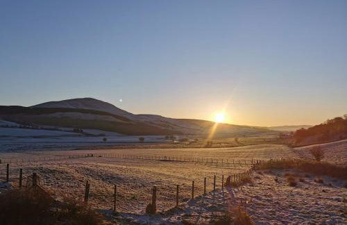 Glen Bay - 2 Bed Lodge on Friendly Farm Stay with Private Hot Tub - Foto 9