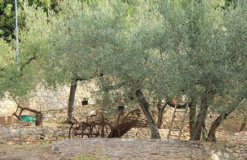 Il renaiolo - Foto 43