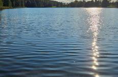 Biały Domek Becejły - Foto 4