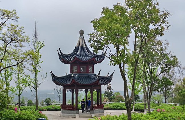 Excursión de un día a la Pequeña Gran Muralla de Yixing desde Shanghái - Foto 21