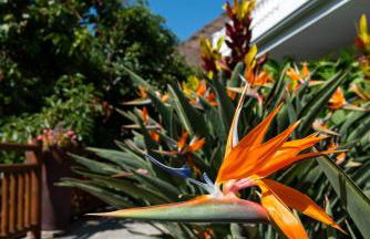 Finca el Moral - Foto 21