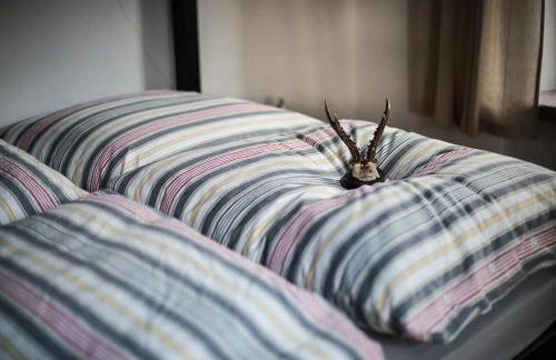 Ferienwohnung Oberförsterei Sosa I - Foto 17