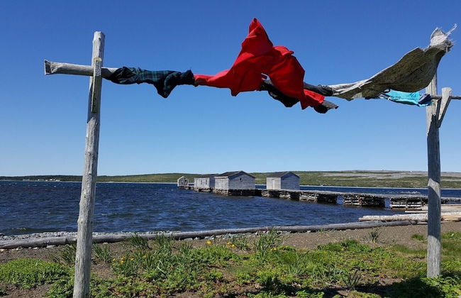 Burnt Cape Cabins - Foto 44