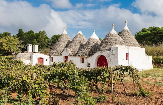 Tenuta Nicla With Pool Locorotondo - Foto 53