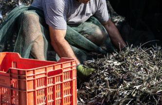 Agriturismo Podere L'Agave - Foto 142