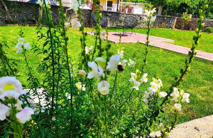 Αλώνι - Photo 28