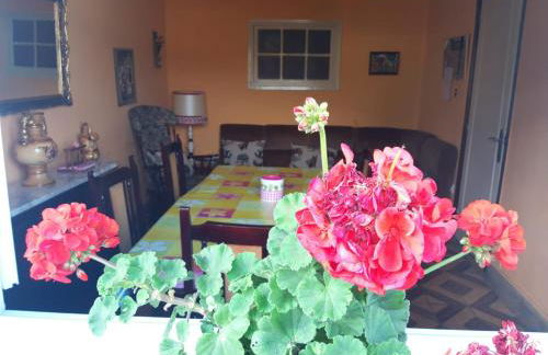 La Casa de Colores - Foto 37