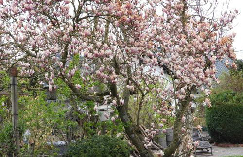 Ferienwohnung "Off Born" Familie Bremm - Foto 19