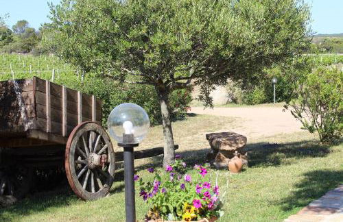 Agriturismo Campesi casale tra le vigne - Photo 13