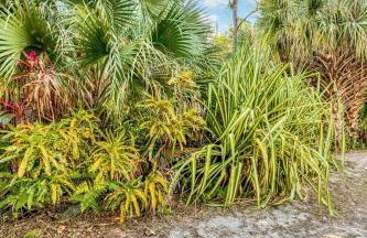 Upcycled Shipping Containers Transformed into a Glamping Home for a Unique Florida Vacation - Foto 20