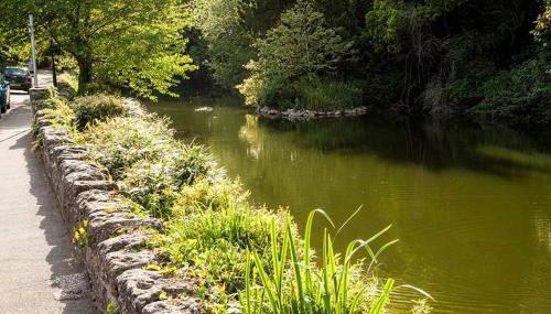 Quince Cottage - Foto 3