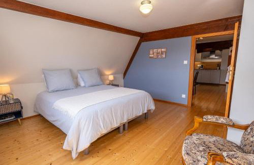 Maison Kobold XVIè siècle - Foto 42