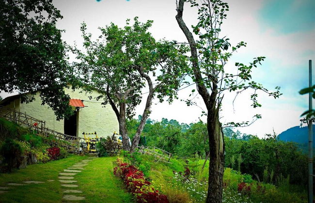 The Pear County - Foto 43