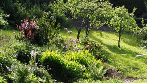 La Villa Marguerite - Foto 5