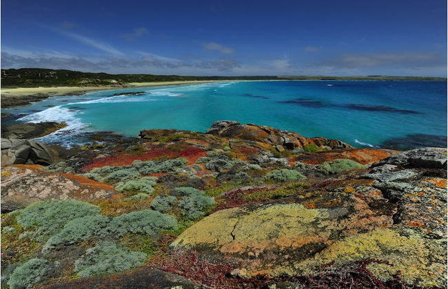 King Island Accommodation Cottages - Photo 41