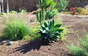 Roby&Vito Vista Taurito - Photo 27