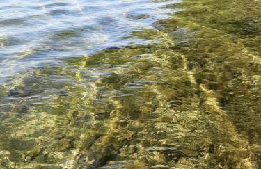 GREEN HOUSE - Foto 27