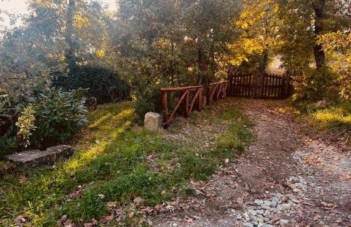 Antica Fiera - Foto 9