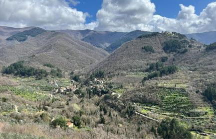 Tuscany, Loro Ciuffenna Mountain Bike&walking - Foto 34