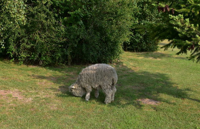 2-bed 18th Century Barn - Sleeps 6 - Pet Friendly - Foto 20