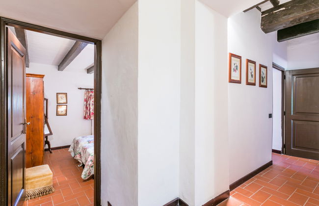 Bardeggiano - Caterina 3 (COL246) - Foto 25