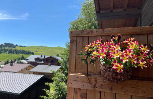 APPARTEMENT VUE SUR LES PISTES Aux SAISIES 4 - Foto 4