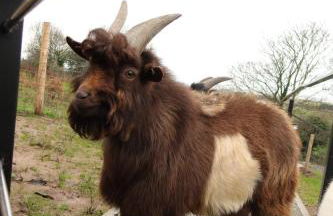 Galactic getaways MARS - Foto 6