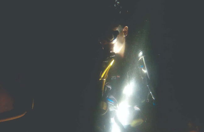 Immersione serale a Ilhabela - Foto 4