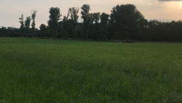 Apartment in Grevenbroich - Foto 4