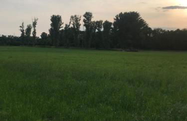 Apartment in Grevenbroich - Foto 4