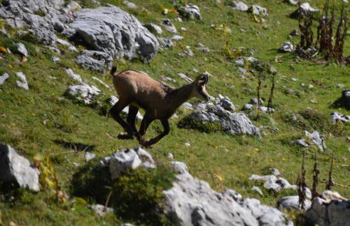 Le Logis de Pimpi - Foto 19