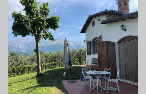 La Casetta di Trignano - Photo 12