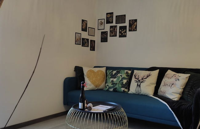 Les Souvenirs d'Alsace - Photo 11