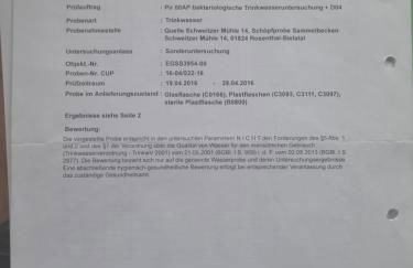 Rapunzel trifft Dornröschen - Foto 32