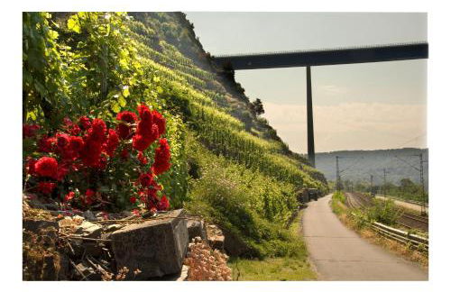 Alkener Elfenhaus mit kostenlosen Gäste Ticket - Foto 31