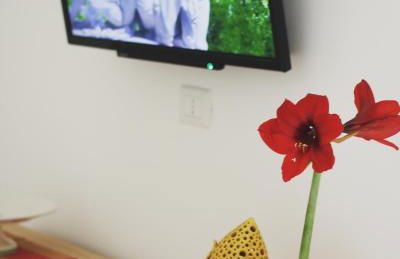 Palazzo Iato - Foto 14