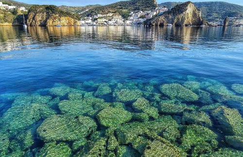 Ponza Holiday Homes - Santa Maria - Foto 10