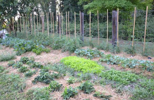 Agriturismo da Gastone - Foto 41