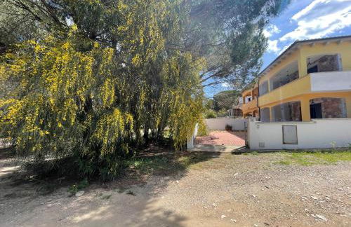 Pineta Beach & Relax House - Foto 17