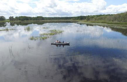 Lakefront Mansion on 10 Acres - Sleeps 15-45 - Foto 22