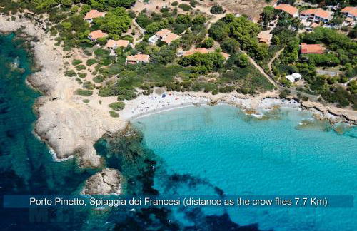 Il Fenicottero - Foto 38